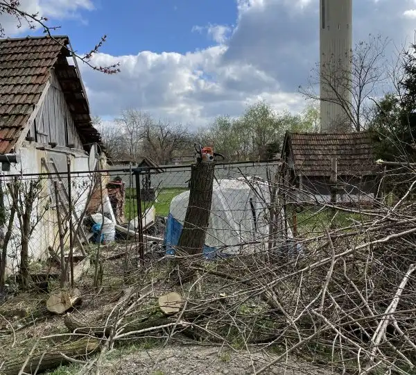 Fakivágás 4