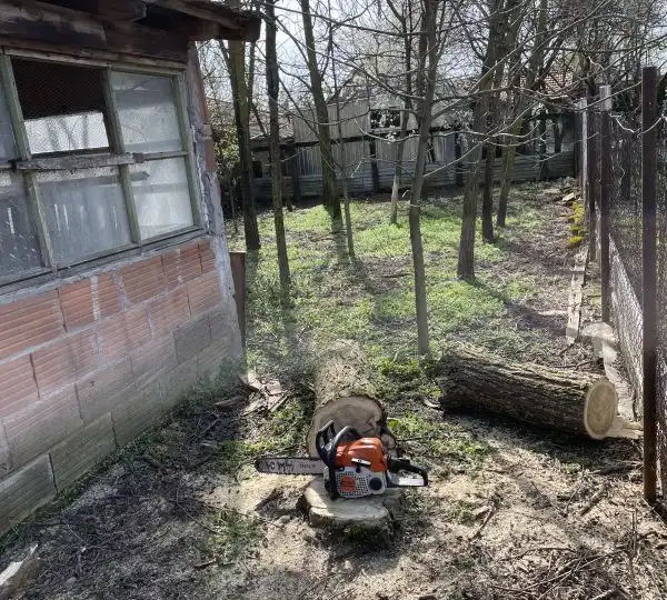 Fakivágás 6