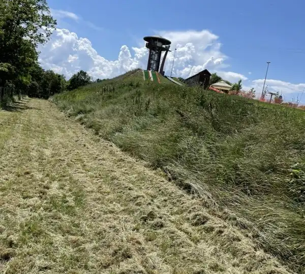 Fűnyírás / Fűvágás / Magasgaz vágása 4