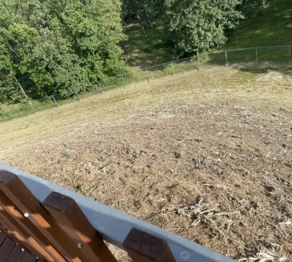 Fűnyírás / Fűvágás / Magasgaz vágása 5