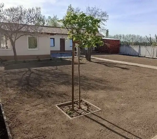 Füvesítés 4